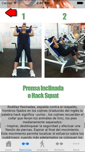 FITNESS ponte 