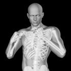 Top 45 Reference Apps Like 360 Anatomy for Artists HD: Male Figure - Best Alternatives