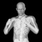 360° Anatomy for Artists is your visual guide to the shapes and underlying structures of the male nude