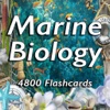 Marine Biology Science 4800 Flashcards & Exam Quiz