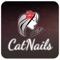 L'application "CatNails" vous offre la possibilité de consulter toutes les infos utiles du salon (Tarifs, prestations, avis…) mais aussi de recevoir leurs dernières News ou Flyers sous forme de notifications Push