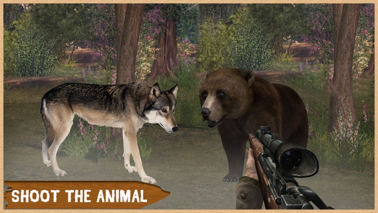 Black Forest Animal Hunting - Shoot In Jungle War screenshot-4