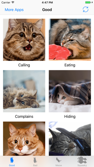 Cats sounds: real and fun sounds for cat lovers(圖1)-速報App