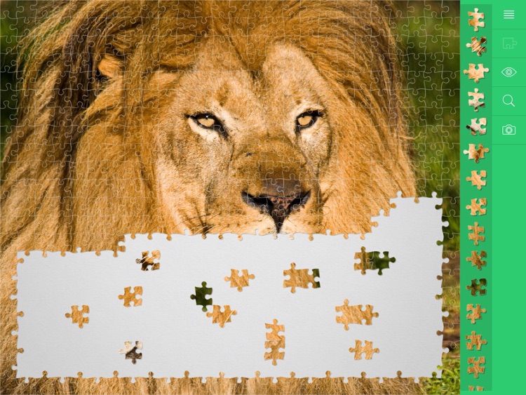 Jigsaw Puzzles Animals
