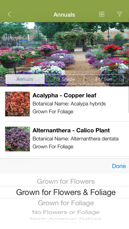 Armitage's Greatest Garden Plants