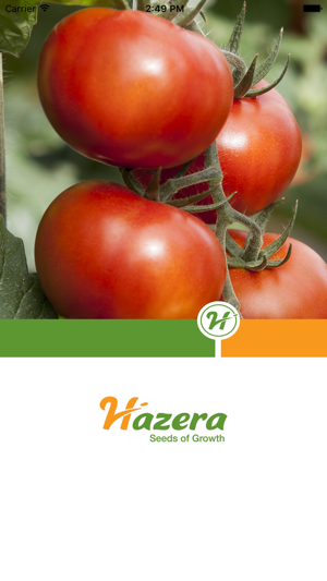 Tomato diseases