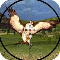 Activities of Desert Falcon Air Hunting - Ultimate Predator Kill