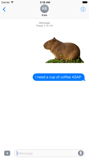 Capybara Stickers for iMessage(圖5)-速報App