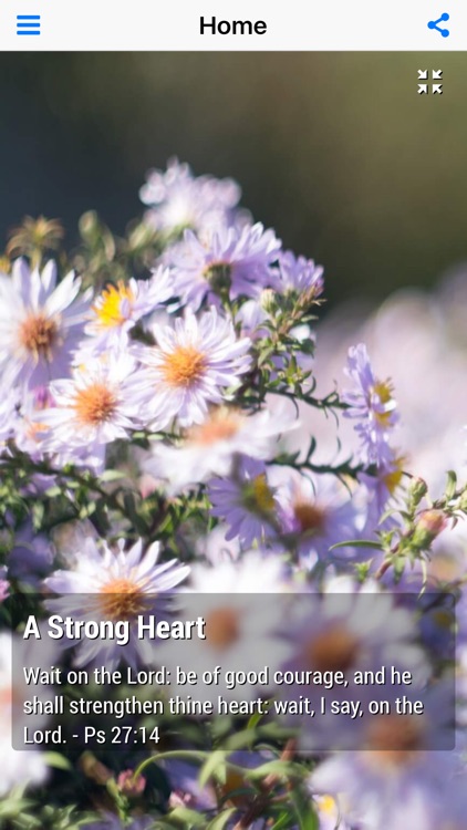 God's Promises - Faith's Checkbook Daily Devotional (Lite)
