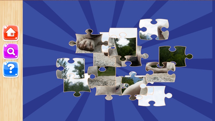 Dog Jigsaw Puzzles Games Kids