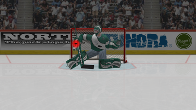 Virtual Goaltender screenshot1