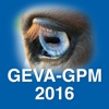 GEVA-GPM 16