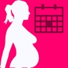 Pregnancy Due Date Widget