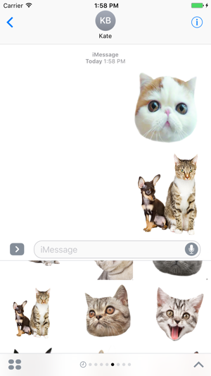 Cute cat with emotion face sticker pack