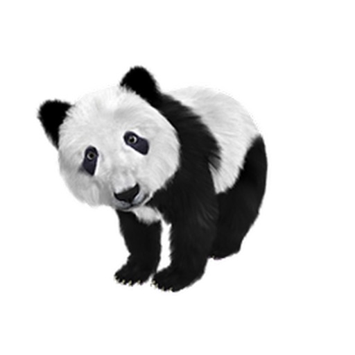 Panda Two Sticker Pack