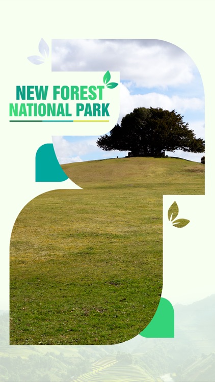 New Forest National Park Travel Guide