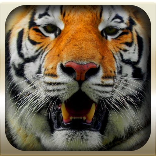 Epic Animal Hunter 3D 2016 Pro : Wild Jungle Icon