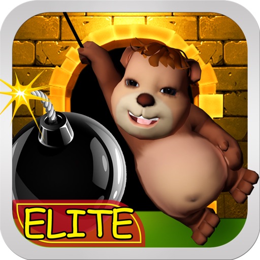 Puzzle Escape Elite