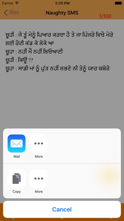 Punjabi Messages screenshot-3