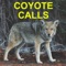 Coyote Calls For Coyote Hunting