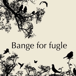 Bange for fugle - Slip af med din angst for fugle