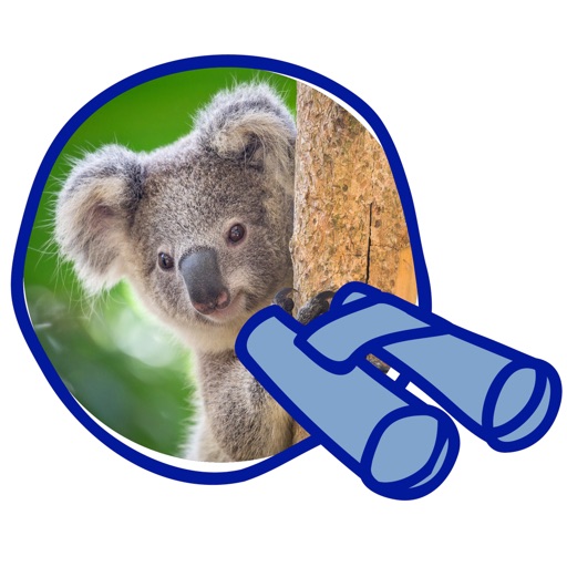 Koala Counter iOS App