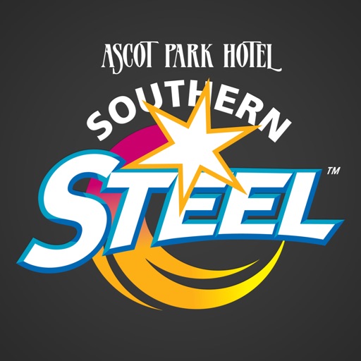 Steel Netball icon