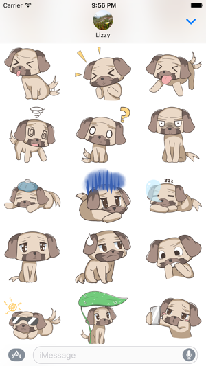 Puppy Pug(圖5)-速報App