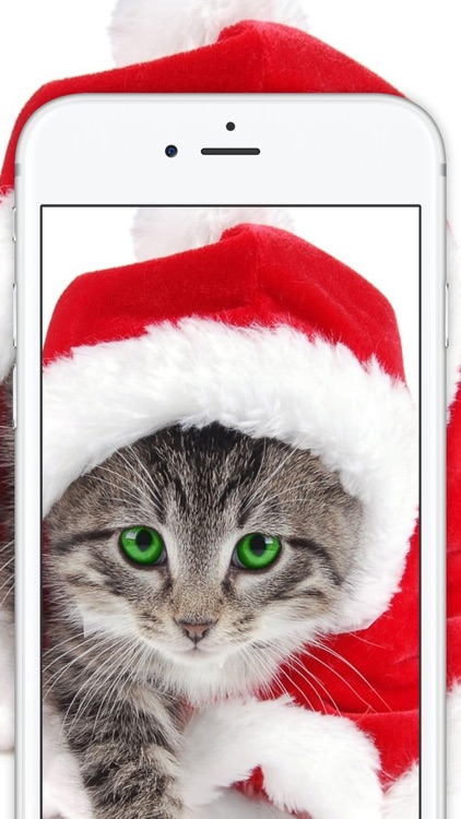 Christmas wallpapers & Home Themes for lock screen screenshot-4