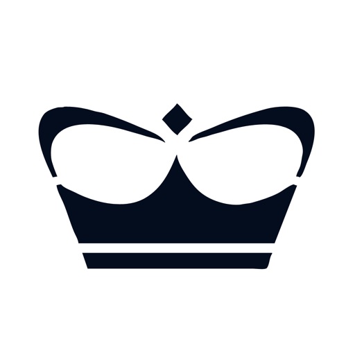 princess yachts logo vector