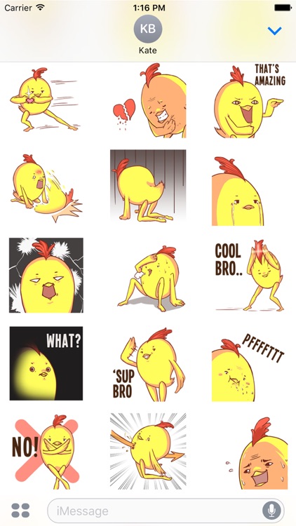 Cool Chicken
