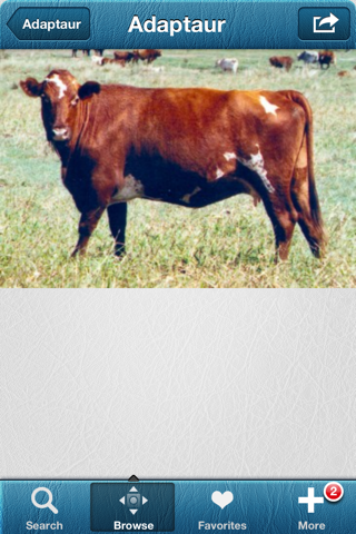 1500 Cattle Dictionary Breeds screenshot 2