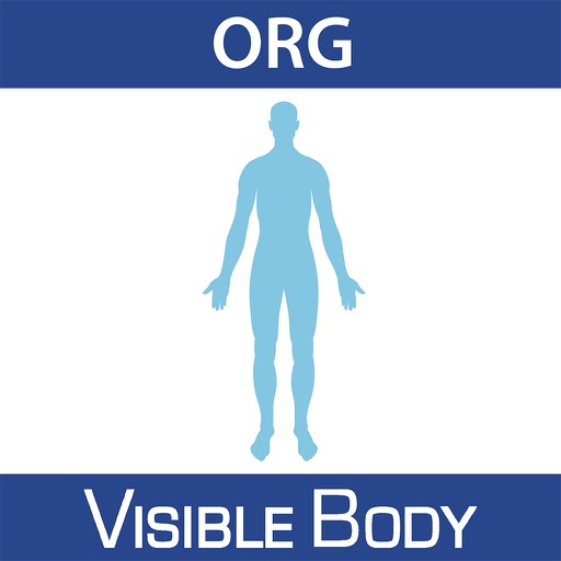 For Organizations - Human Anatomy Atlas