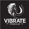 Vibrate Fitness