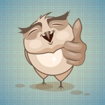 Sticker Me Funny Owl