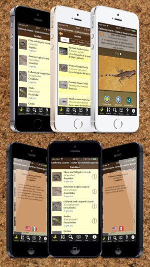 California Lizards - Guide to Common Species(圖3)-速報App