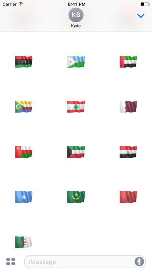 Arab Flags(圖3)-速報App