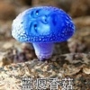 蓝瘦-香菇