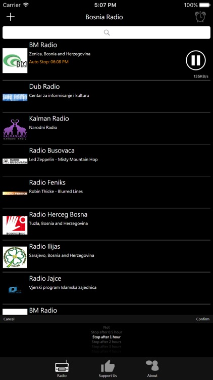 Bosnian Radio