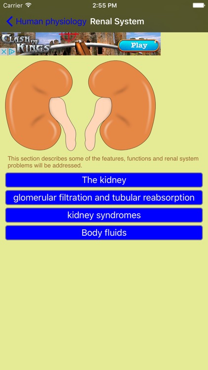 HumanPhysiology