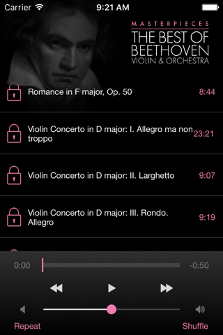 Beethoven: Violin&Orchestra screenshot 3