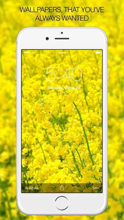 Yellow Wallpapers & Yellow Backgrounds