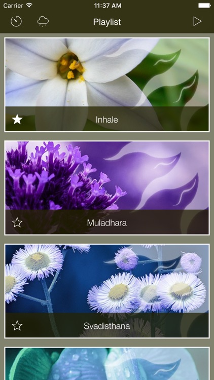 Pranic Healer Music 7 Chakras Vibrational Healing screenshot-4