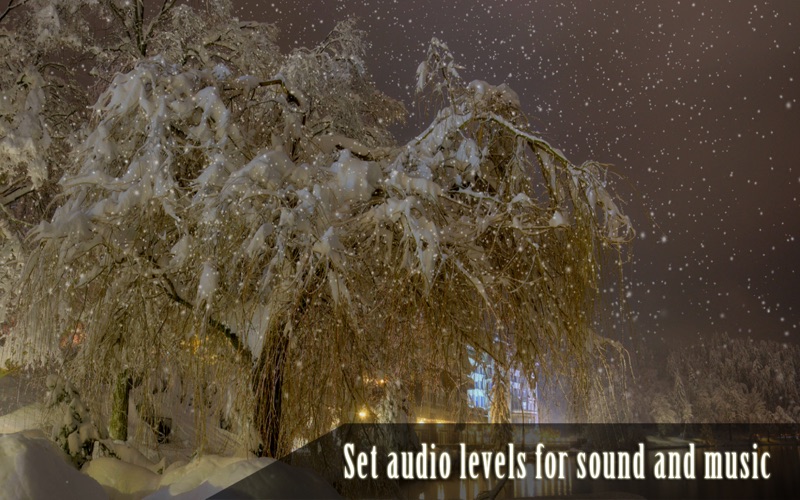 Peaceful Snowfall HD thumbnail 2