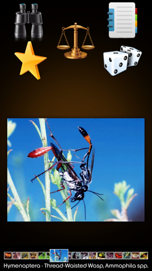 Insects Collection(圖2)-速報App