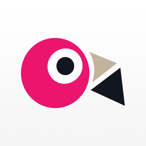 Flamingo Fares Tampa Bay iOS App
