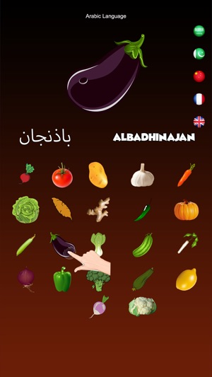 Vegetables Dictionary Multi(圖5)-速報App