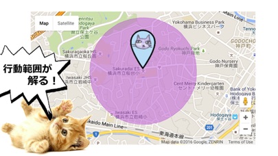 迷い猫＆迷子犬　ペット捜索アプリ *Mis... screenshot1