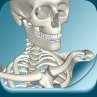 骨暗記 pour PC