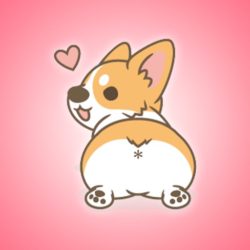 Funny Corgi Collection